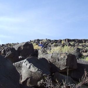 Meet your Posher, Richard